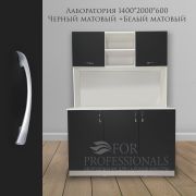 Шкаф Лаборатория 