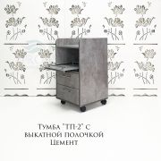 Тележка косметологическая «ТП-2» с выдвижной полкой 750х400х400 Цемент