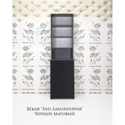 Шкаф «Ind Лаборатория» Чёрный Матовый