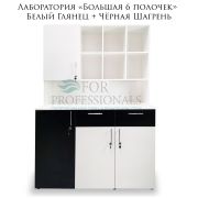 Лаборатория «Большая 6 полочек» Белый Глянец + Чёрная Шарень