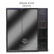 Шкаф-купе  Интра