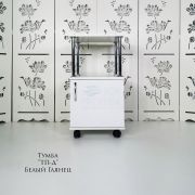 Тележка косметологическая «ТП-Д» 750*400*400 Белый шелк