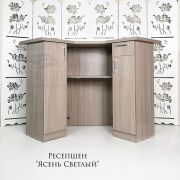 Ресепшен «Ясень Светлый»